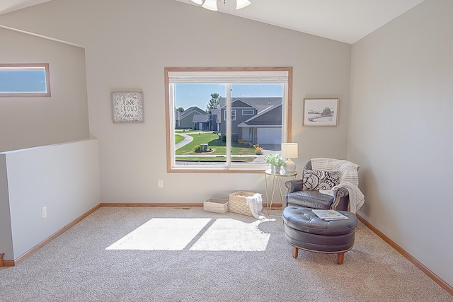 1051 Yellowstone Ave, Saint Cloud, MN 56303 - photo 14