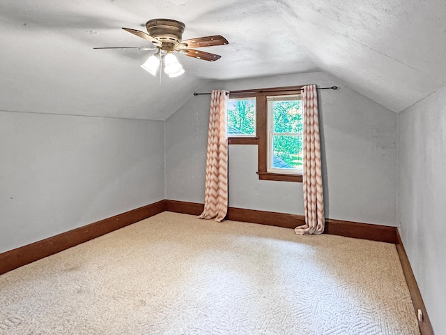 306 Jefferson St, Minneota, MN 56264 - bonus room featuring lofted ceiling, ceiling fan, and carpet floors