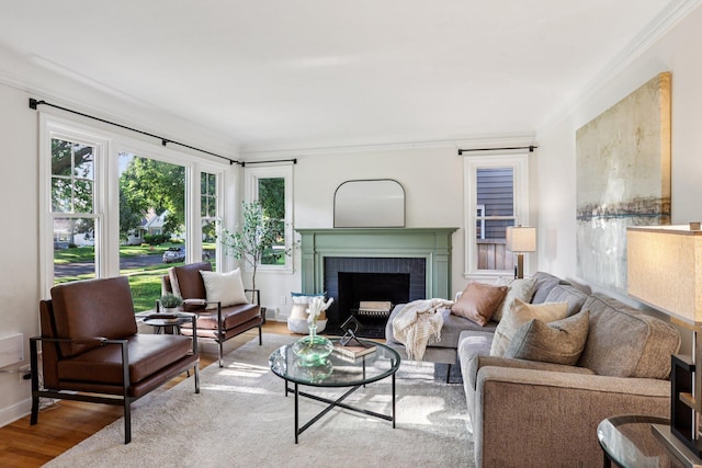 3212 Kentucky Ave S, Saint Louis Park, MN 55426 - living room with ornamental molding, a brick fireplace, and wood finished floors
