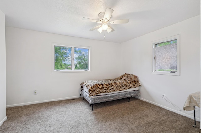 2715 90th Ln NE, Blaine, MN 55449 - carpeted bedroom featuring multiple windows and ceiling fan