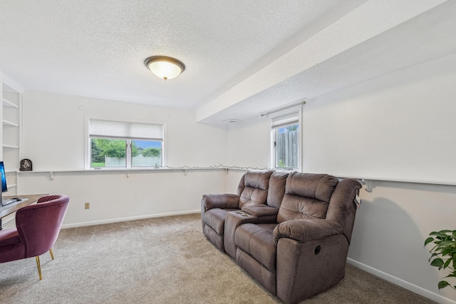 2715 90th Ln NE, Blaine, MN 55449 - living room featuring carpet flooring, plenty of natural light, a textured ceiling, and an office area
