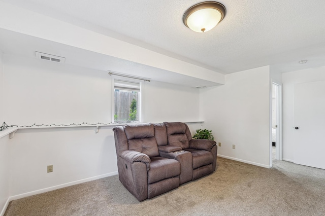 2715 90th Ln NE, Blaine, MN 55449 - living area featuring carpet and a textured ceiling