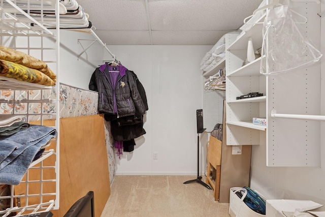 10910 38th Ave N, Plymouth, MN 55441 - walk in closet featuring carpet floors