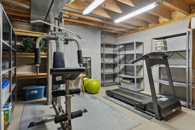 10910 38th Ave N, Plymouth, MN 55441 - exercise room featuring concrete block wall