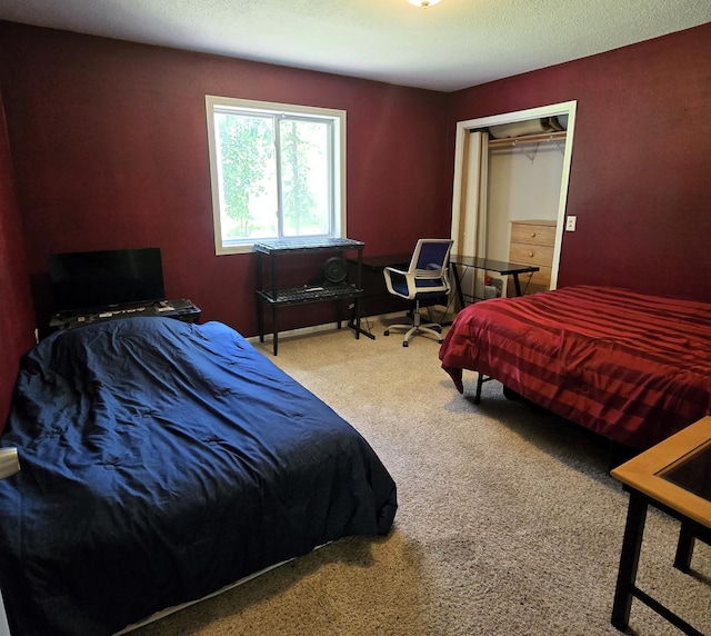 17544 366th St, Bagley, MN 56621 - carpeted bedroom with a closet