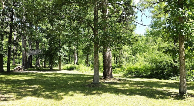17544 366th St, Bagley, MN 56621 - view of green lawn