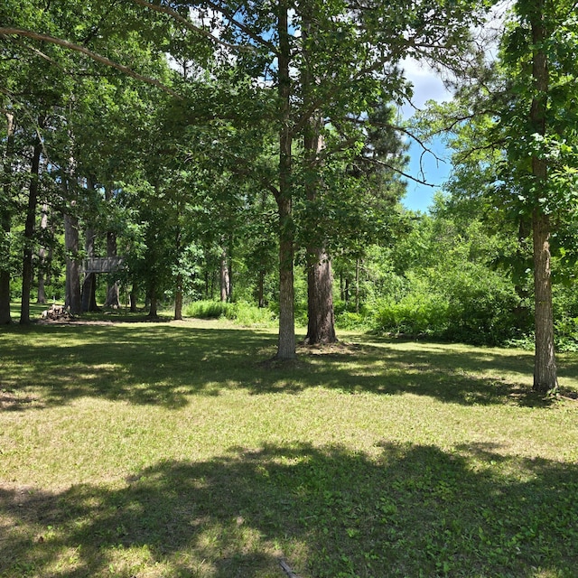 17544 366th St, Bagley, MN 56621 - view of green lawn