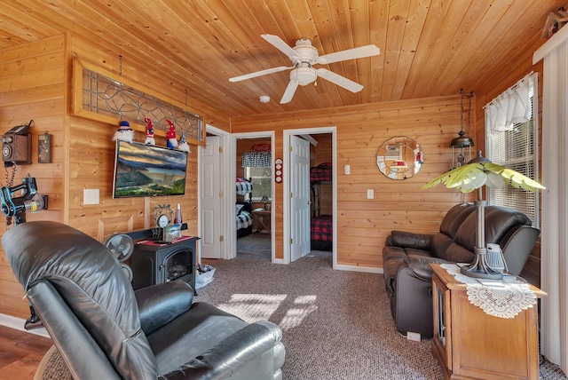 4565 109th Ave SE, Clear Lake, MN 55319 - photo 10