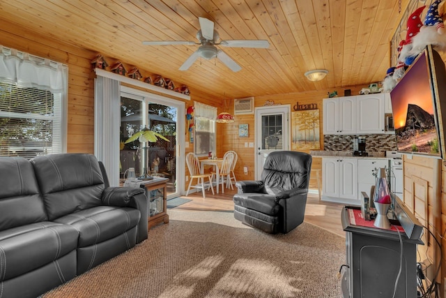 4565 109th Ave SE, Clear Lake, MN 55319 - photo 11