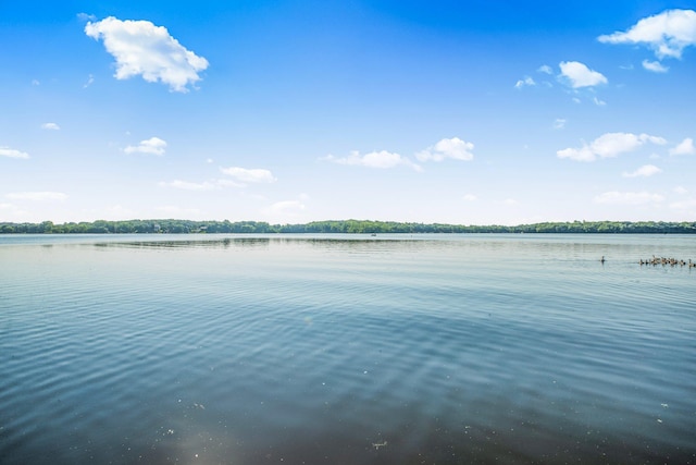 4565 109th Ave SE, Clear Lake, MN 55319 - photo 20