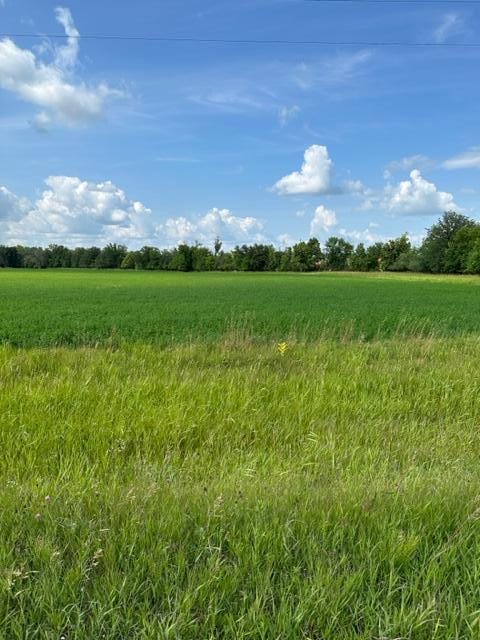 TBD Sorteberg Dr, Rocksbury Twp, MN 56701