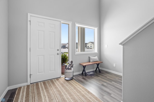 1030 Albert Dr W, West Fargo, ND 58078 - foyer featuring plenty of natural light and wood finished floors