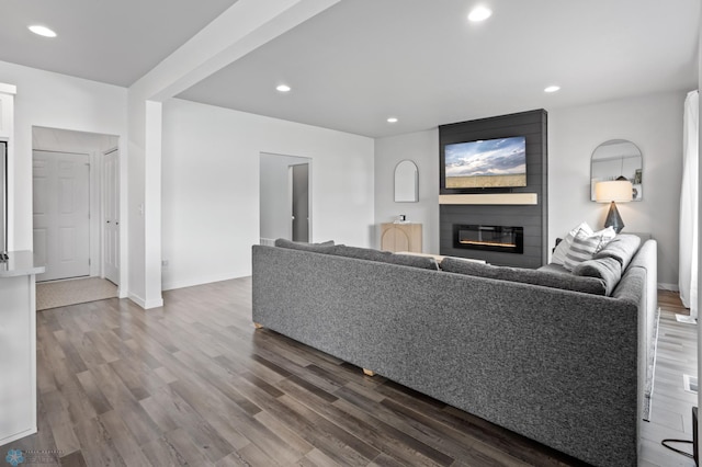 1030 Albert Dr W, West Fargo, ND 58078 - living room featuring a large fireplace, dark wood-type flooring, and recessed lighting