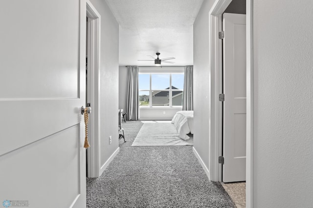 1030 Albert Dr W, West Fargo, ND 58078 - corridor with carpet and baseboards