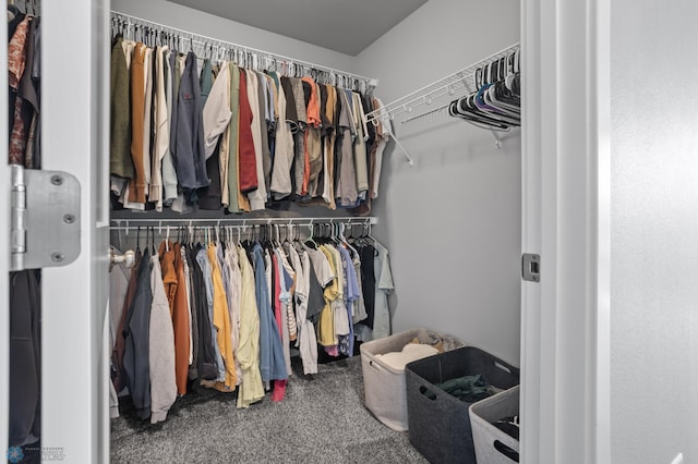 1030 Albert Dr W, West Fargo, ND 58078 - walk in closet featuring carpet