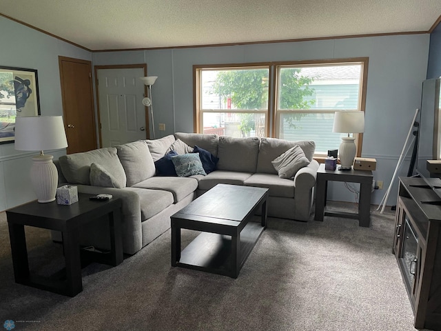 11 Horseshoe Bnd, Horace, ND 58047 - carpeted living area with ornamental molding and a textured ceiling