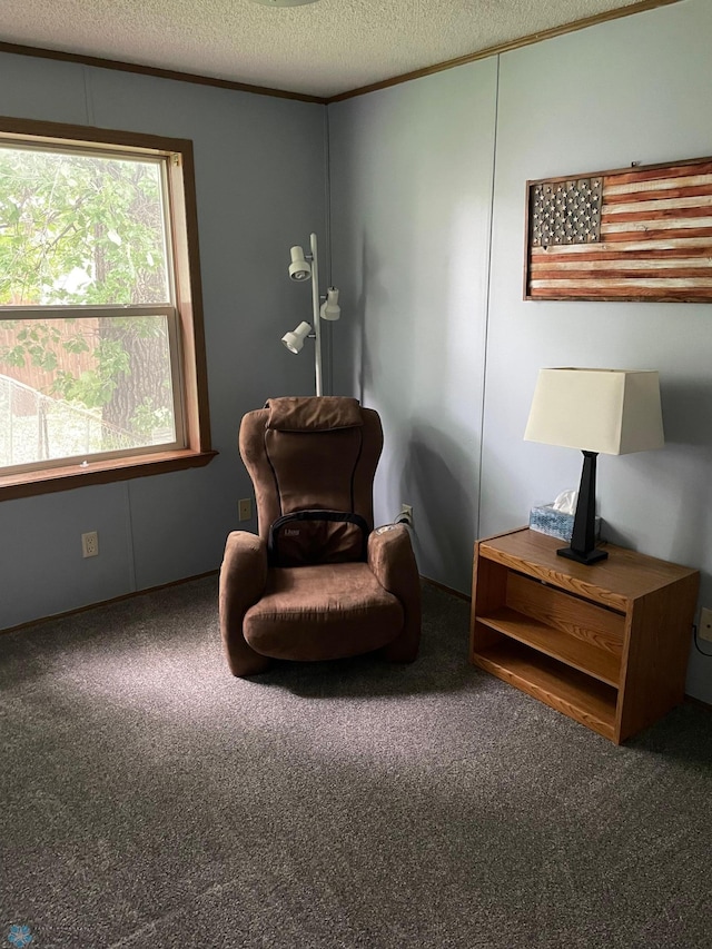 11 Horseshoe Bnd, Horace, ND 58047 - living area with carpet and a textured ceiling