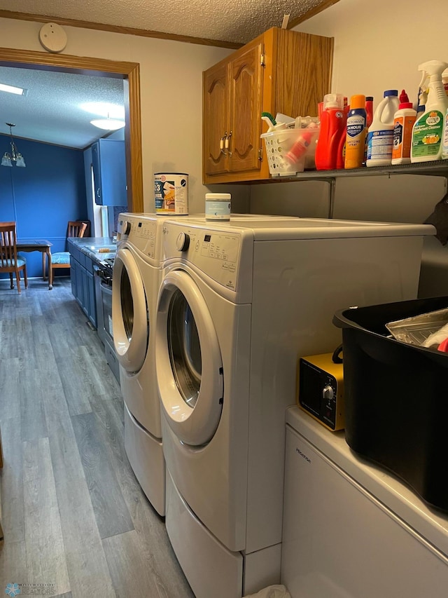 11 Horseshoe Bnd, Horace, ND 58047 - laundry area with light wood-style floors, independent washer and dryer, and a textured ceiling