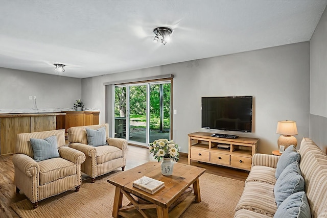 8 110th Ln NW, Coon Rapids, MN 55448 - living room featuring light wood-style floors and bar area