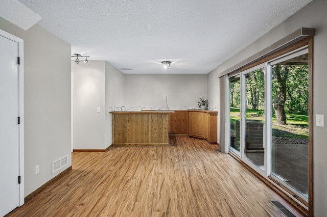 8 110th Ln NW, Coon Rapids, MN 55448 - indoor wet bar featuring light wood-style flooring and a textured ceiling