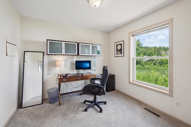 2722 Autumn Woods Dr, Chaska, MN 55318 - carpeted office featuring baseboards