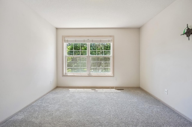 2722 Autumn Woods Dr, Chaska, MN 55318 - spare room with carpet flooring and a textured ceiling