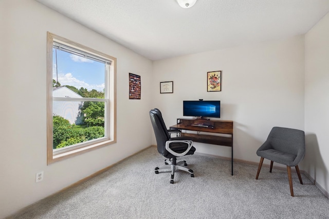 2722 Autumn Woods Dr, Chaska, MN 55318 - home office with healthy amount of natural light and carpet flooring