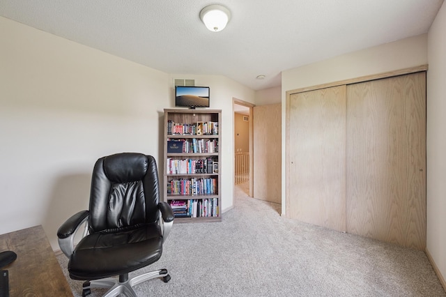 2722 Autumn Woods Dr, Chaska, MN 55318 - office space featuring carpet