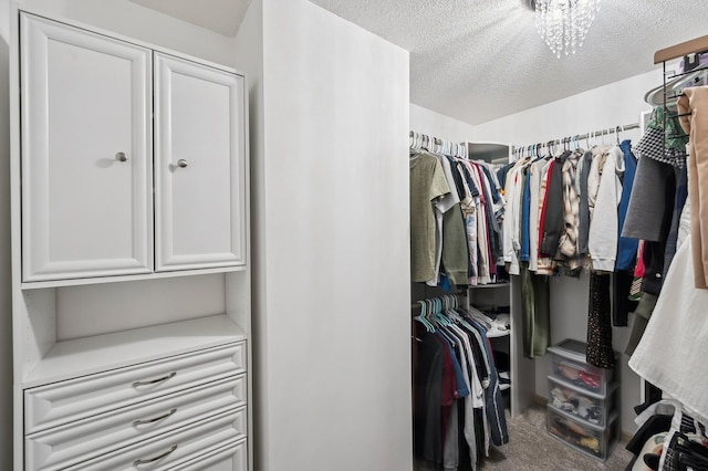 2722 Autumn Woods Dr, Chaska, MN 55318 - walk in closet featuring carpet