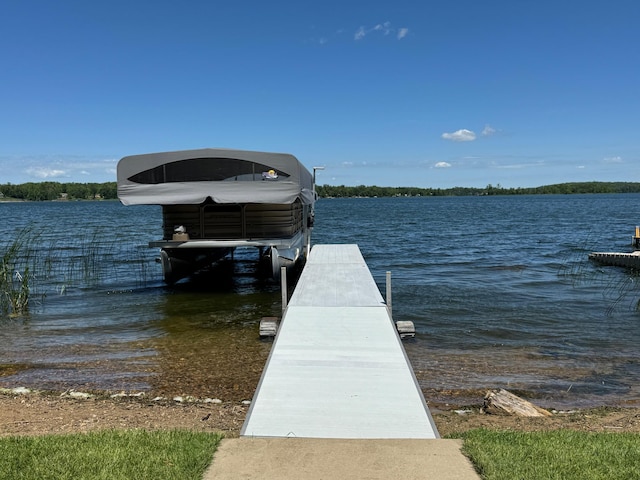 14125 Island Lake Rd E, Lengby, MN 56651 - photo 44