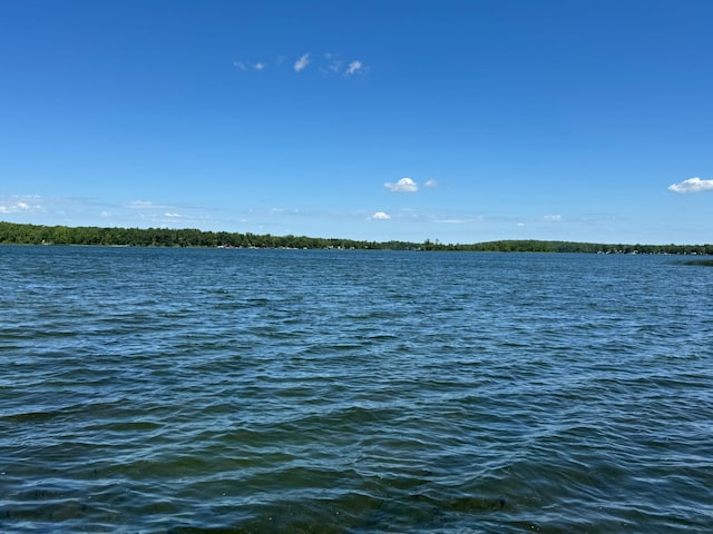 14125 Island Lake Rd E, Lengby, MN 56651 - photo 46