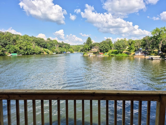 40402 Ryans Bay Rd, Zumbro Falls, MN 55991 - photo 11