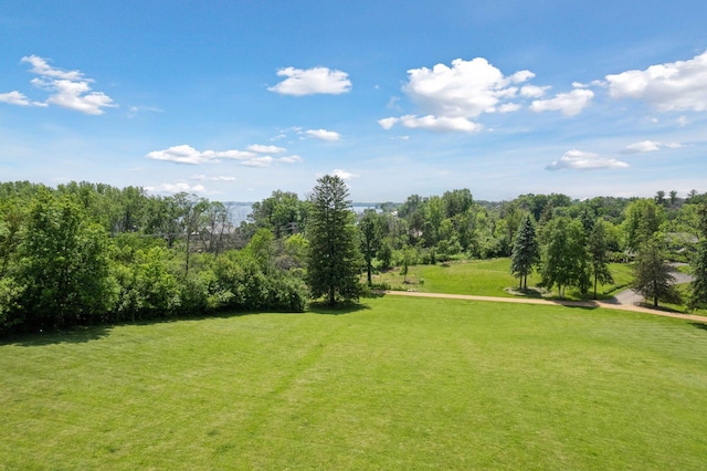 14XX Fox St, Wayzata, MN 55391