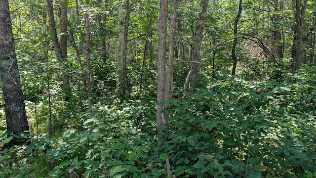TBD 22nd St SW, Pine River Twp, MN 56474