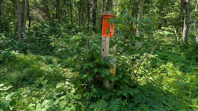 TBD 22nd St SW, Pine River Twp, MN 56474