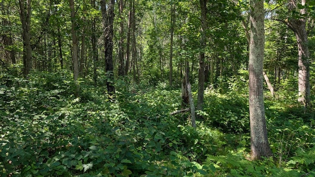 TBD 22nd St SW, Pine River Twp, MN 56474