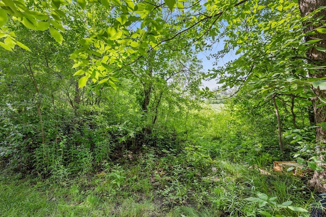 1964 Lincoln Ln, Chanhassen, MN 55317 - photo 47