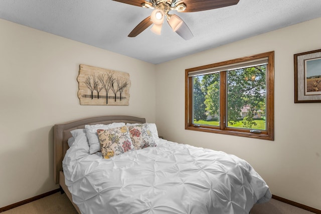 311 Coolidge St, Anoka, MN 55303 - photo 24