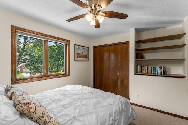311 Coolidge St, Anoka, MN 55303 - photo 25