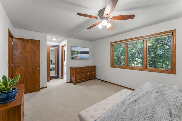 311 Coolidge St, Anoka, MN 55303 - photo 32