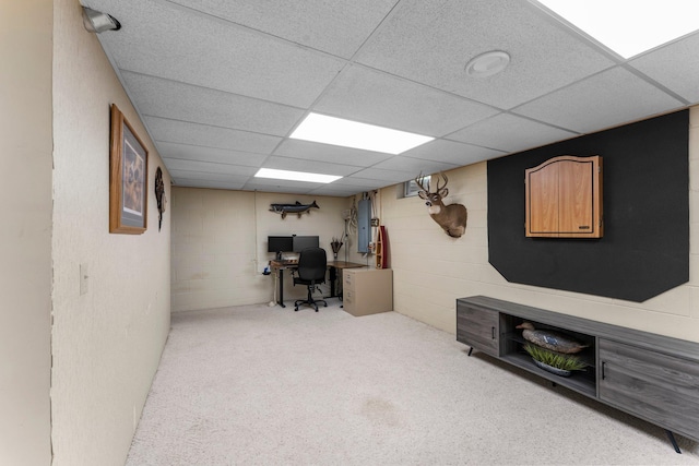 311 Coolidge St, Anoka, MN 55303 - photo 39