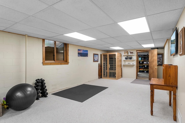 311 Coolidge St, Anoka, MN 55303 - photo 42