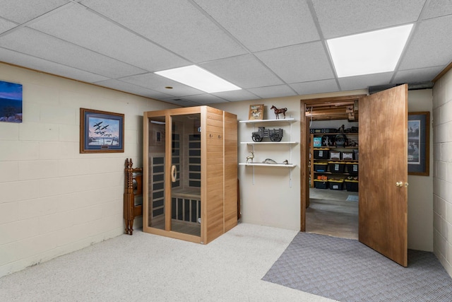 311 Coolidge St, Anoka, MN 55303 - photo 45