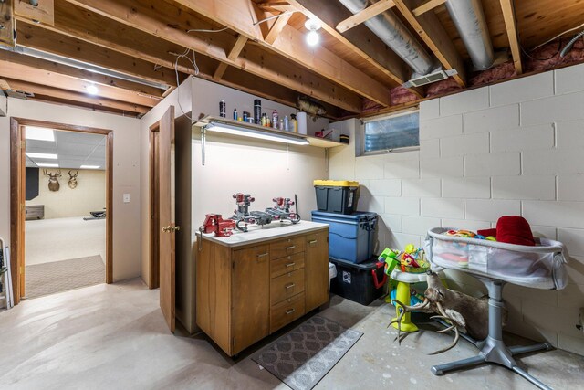 311 Coolidge St, Anoka, MN 55303 - photo 46