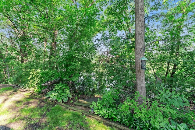 311 Coolidge St, Anoka, MN 55303 - photo 66