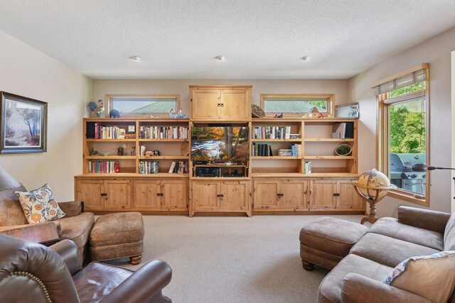 905 Bayside Ln, Mound, MN 55364 - photo 10