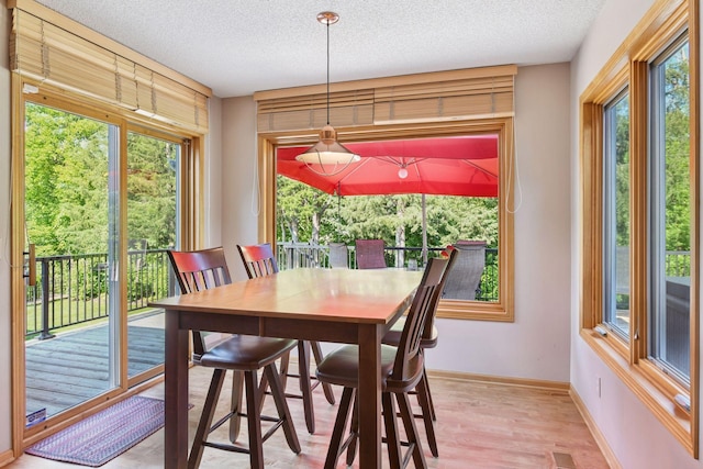 905 Bayside Ln, Mound, MN 55364 - photo 12
