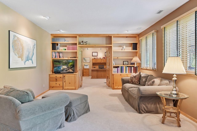 905 Bayside Ln, Mound, MN 55364 - photo 22