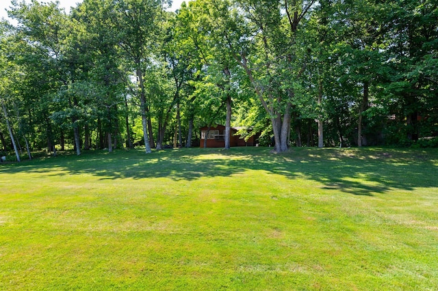 90162 Shady Oak Ln, Kerrick Twp, MN 55756 - view of green lawn