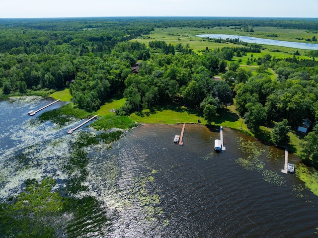 90162 Shady Oak Ln, Kerrick Twp, MN 55756 - bird's eye view of a large body of water and a heavily wooded area
